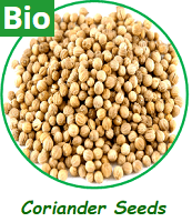 Organic Coriander Seeds