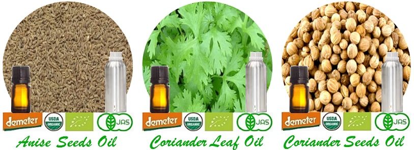 anise+coriander leaf+seeds
