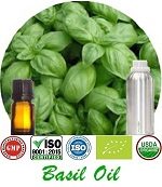Organic Basil Oil (p) 150x173