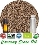 Organic Caraway Seeds Oil (p) 150x173