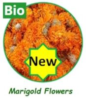 Marigold Flowers (Bio)